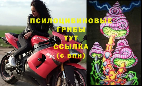 прущие грибы Балахна