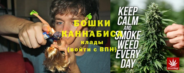 прущие грибы Балахна