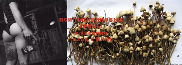 крисы Балабаново