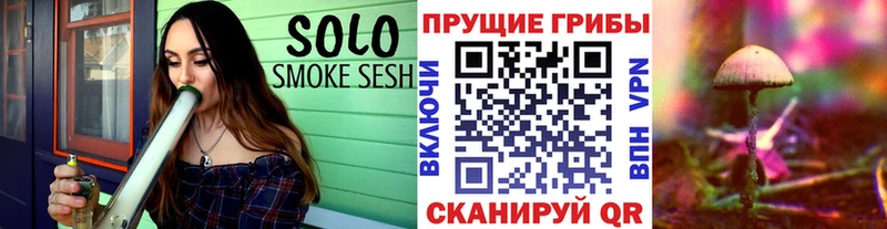 наркота  Терек  сайты даркнета клад  Галлюциногенные грибы Psilocybe 