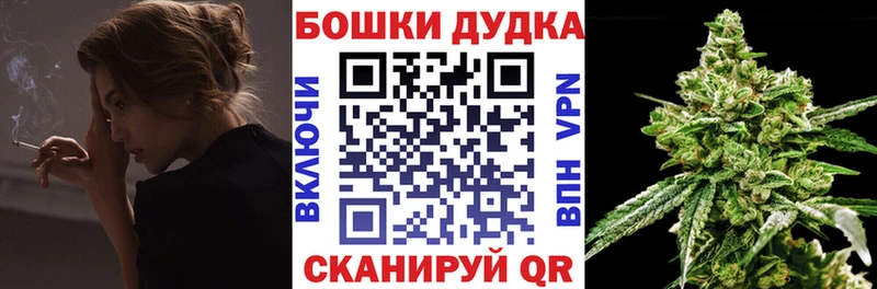 блэк спрут сайт  Терек  Каннабис сатива 